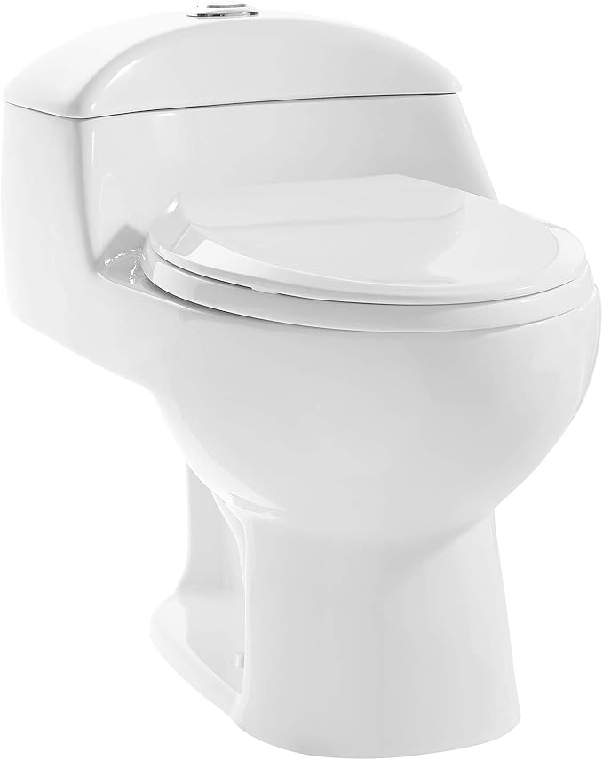 Self Cleaning toilet