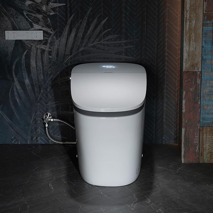 Self Cleaning toilet