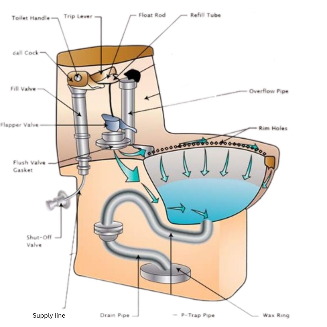 How to Install American Standard Toilet - Simplified Steps - The Home ...