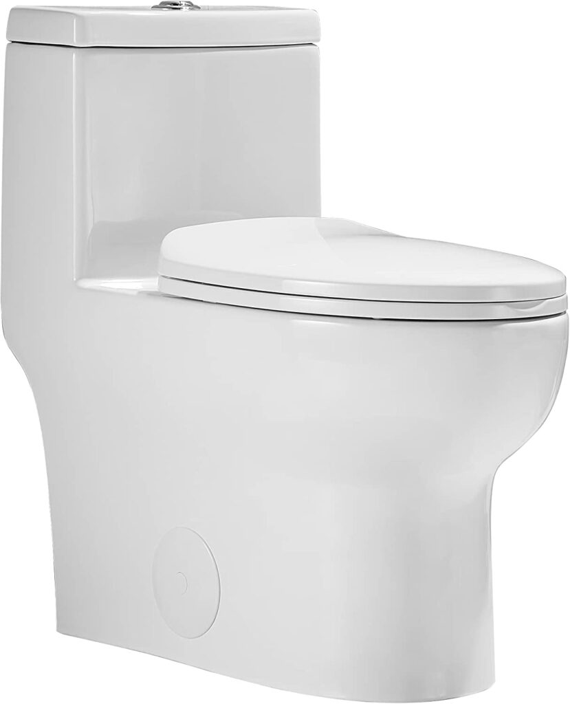 DeerValley DV 1F026 Quietest flushin toilet