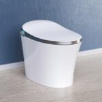 Horow Toilet Reviews – Should You Buy Horow? - The Home Guidance