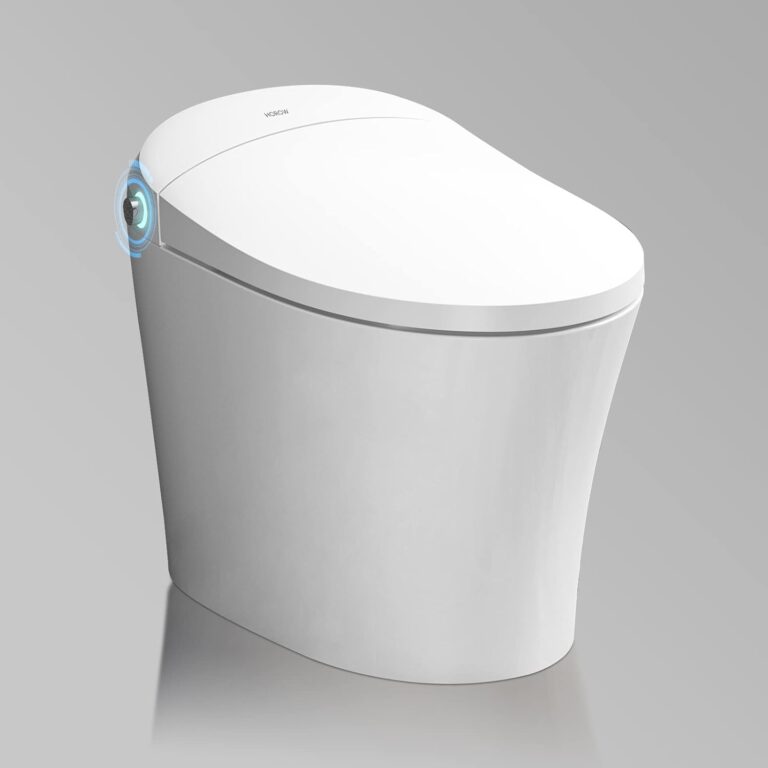Tankless Toilets 101 The Best Tankless Toilets Guide The Home Guidance
