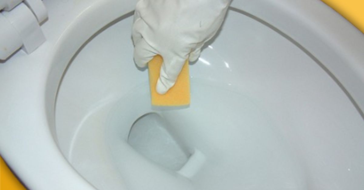 How to Prevent Rust Stains in Toilet Bowl The Home Guidance
