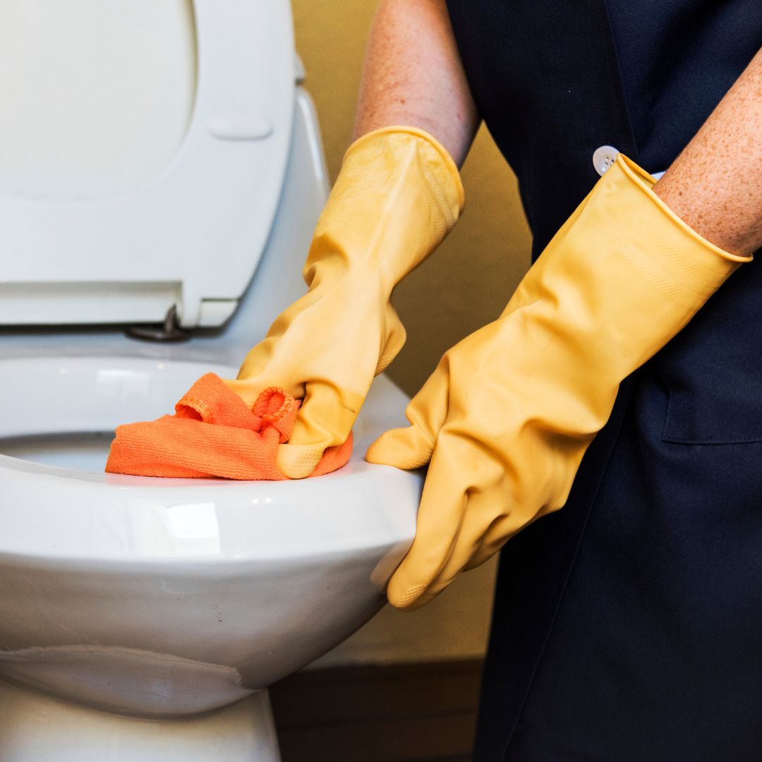 How to Install American Standard Toilet Simplified Steps The Home